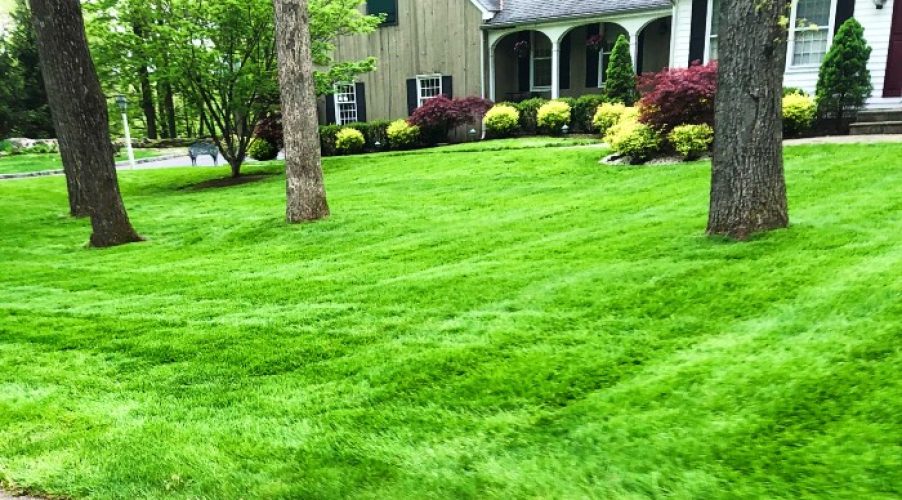 Landscaping and Lawn Care Landscaping and Lawn Care